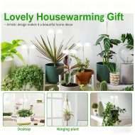 USB Angel Ring Plant Growth Light