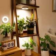 Lumenleaf USB Clip Grow Light for Succulents, Full Spectrum1