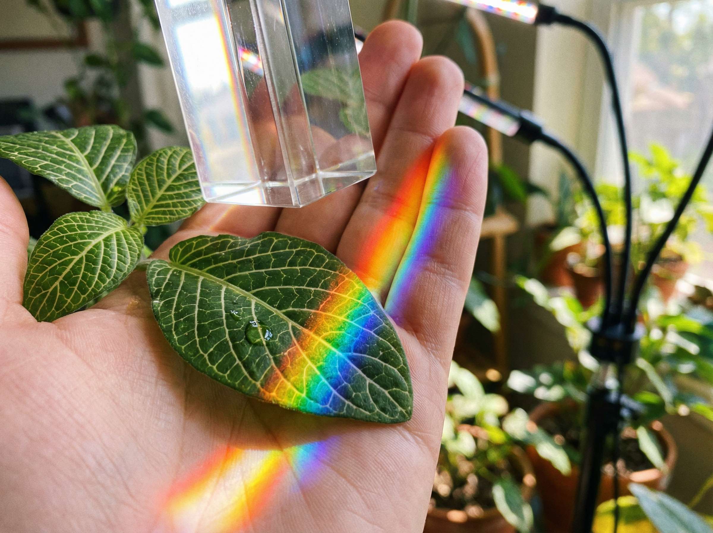 Full spectrum diagram